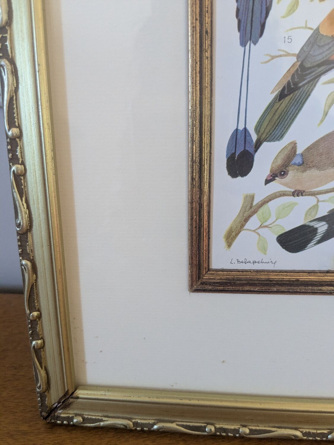Lithographic frame of birds