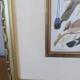 Lithographic frame of birds