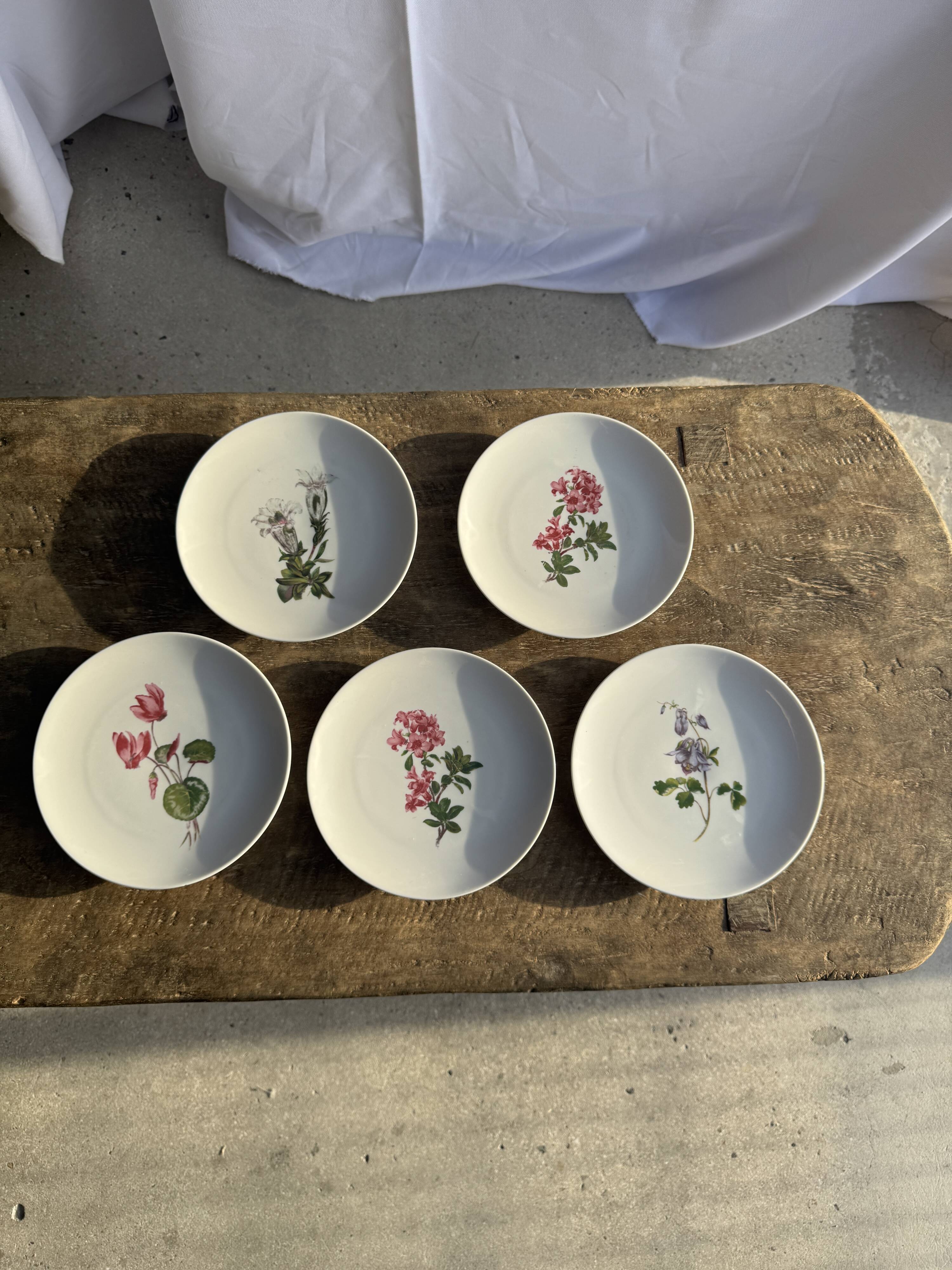 Set of 5 dessert plates with flower patterns Germany Bavaria D19