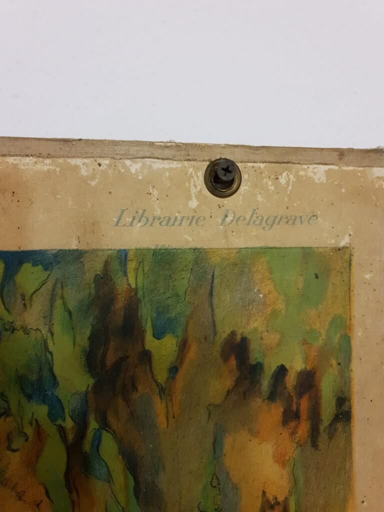 School Poster - The Royal Tigers