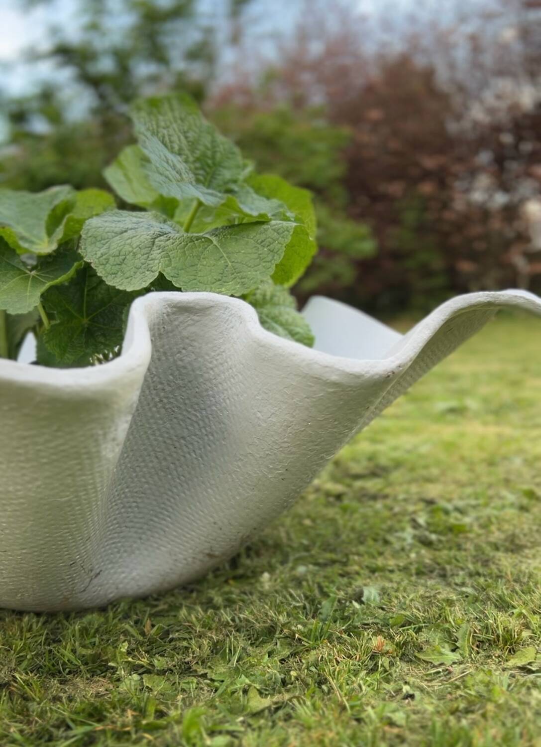 Jardinière mouchoir   ÉLO FRANCE