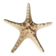 Starfish