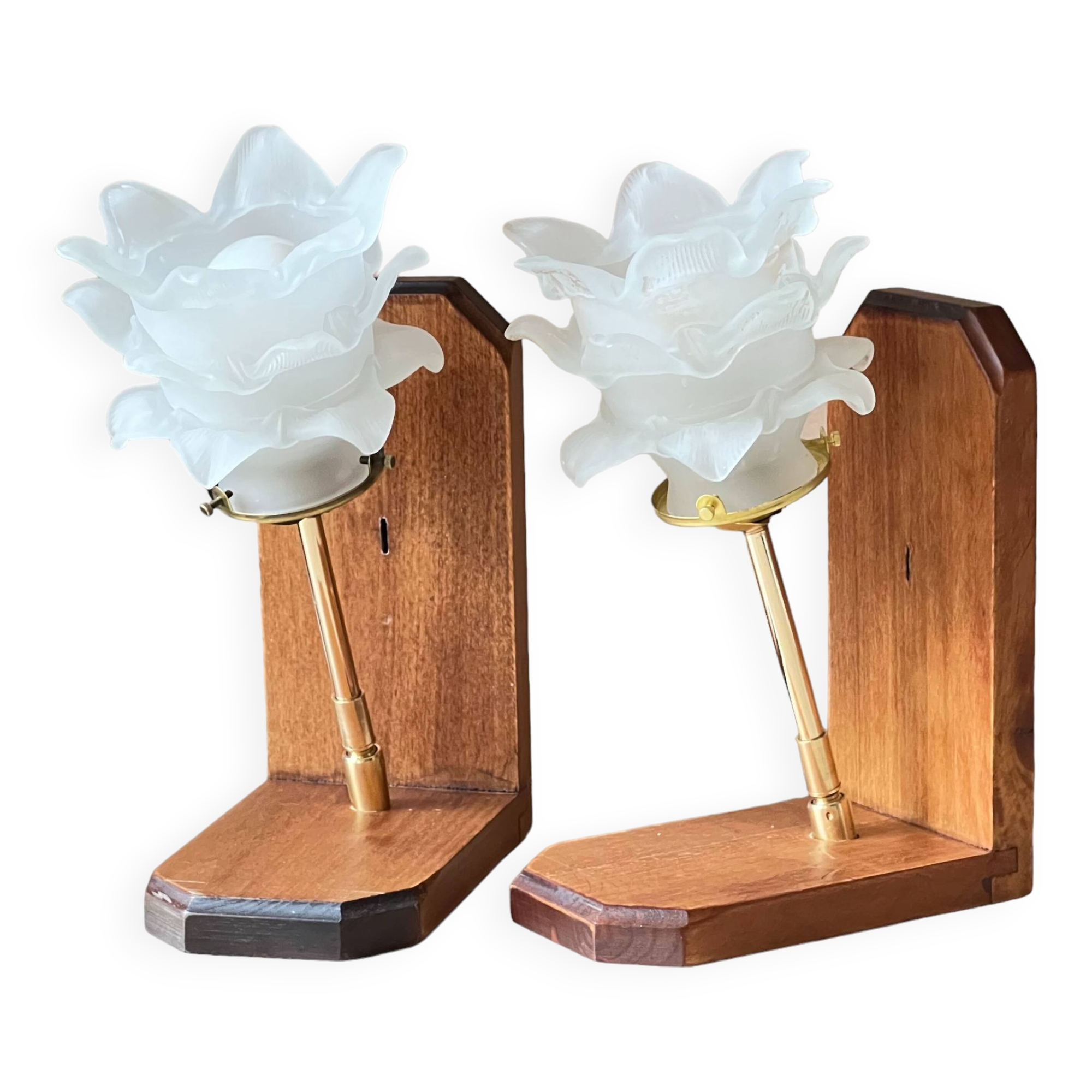 Pair of pink bedside lamps or wall lights