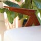 Vintage armchair white curly natural wood boho design by Chierowski 1970