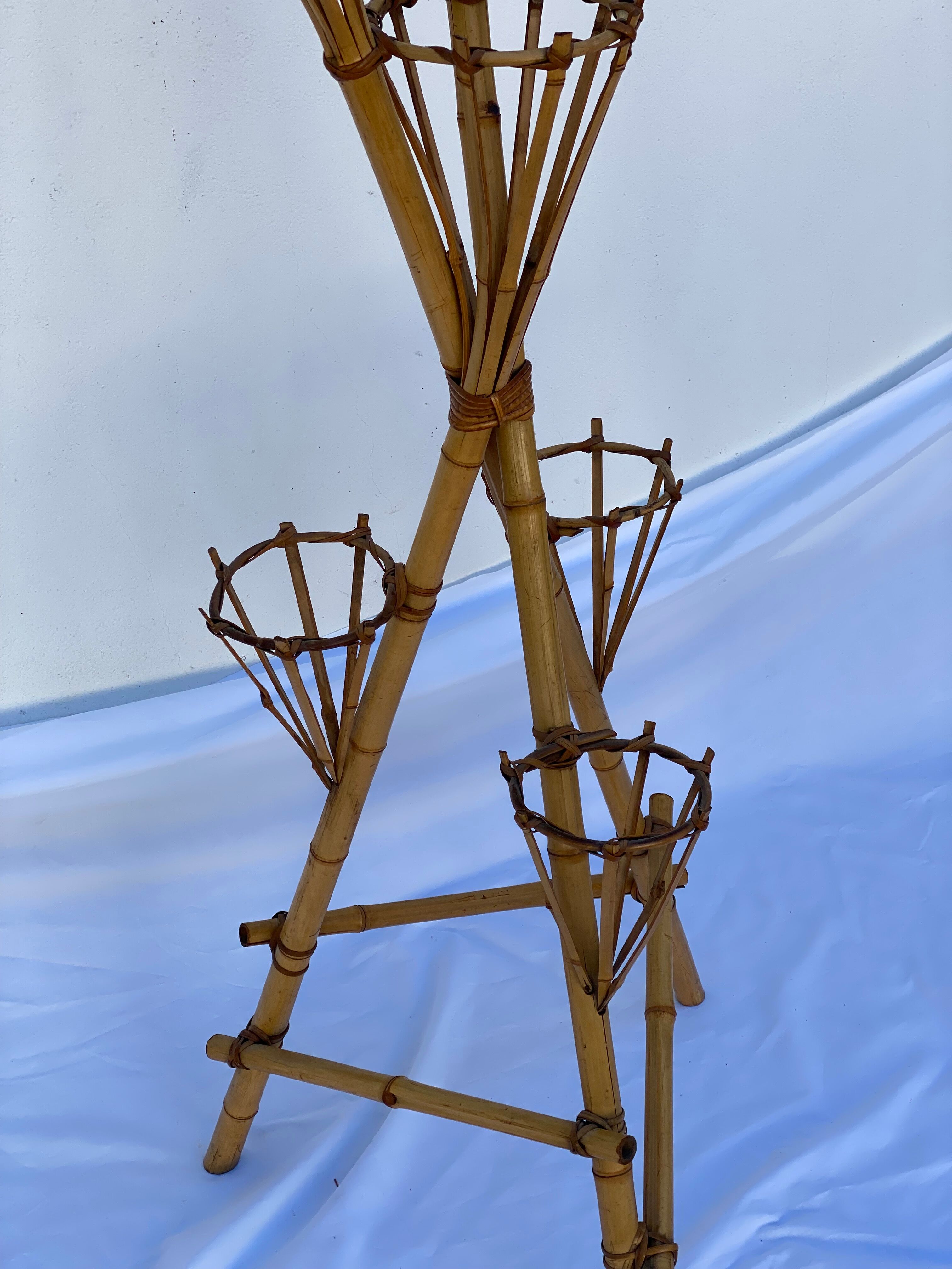 stand de plantes de bambou et de rotin