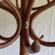 Coat rack parrot