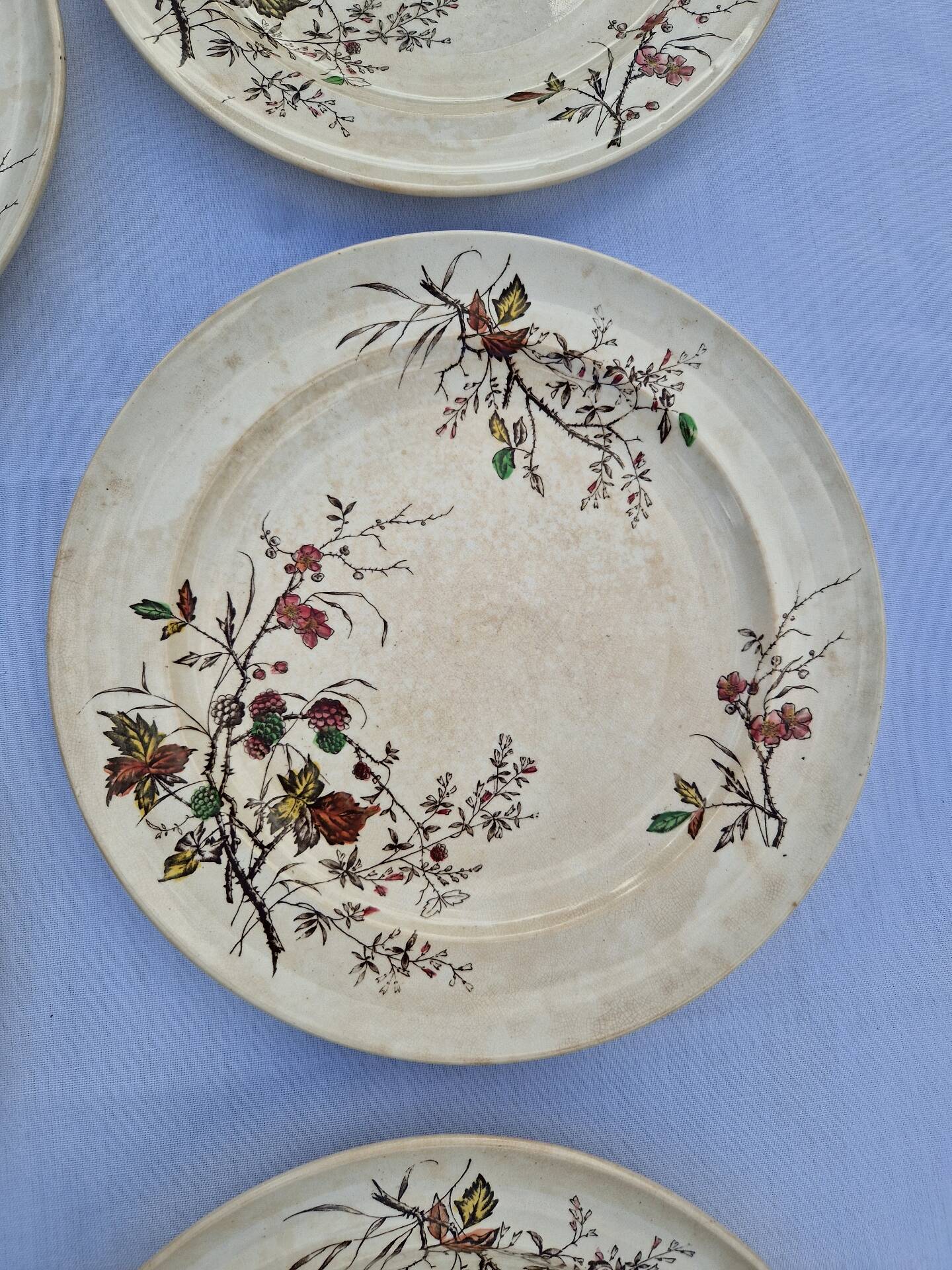 Set of 12 Terre De Fer Plates Manufacture Moore & Co Model Como