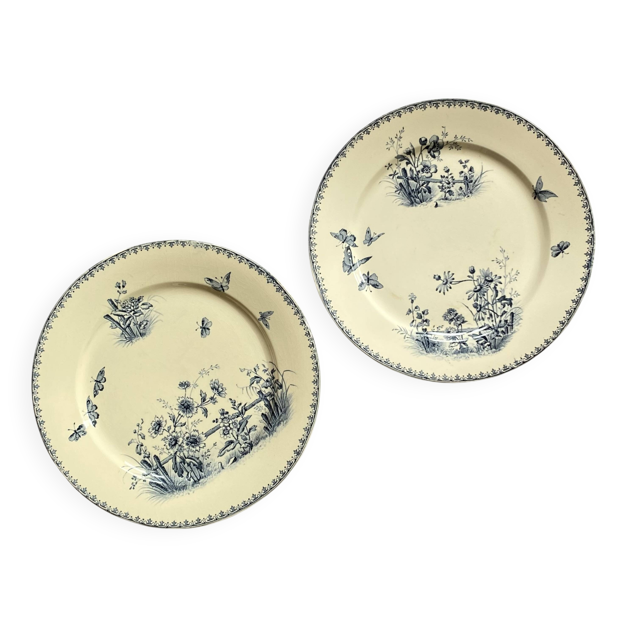 Set of 2 iron earth plates Sarreguemines earthenware Tsarine ACC-7301