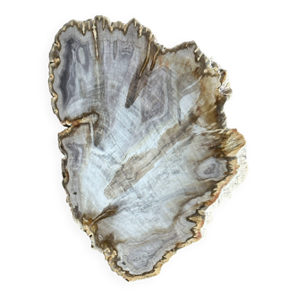 Organic dish in beige petrified fold D: 20-35cm