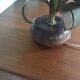 Lampe