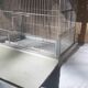Cage à oiseau en fer et osier