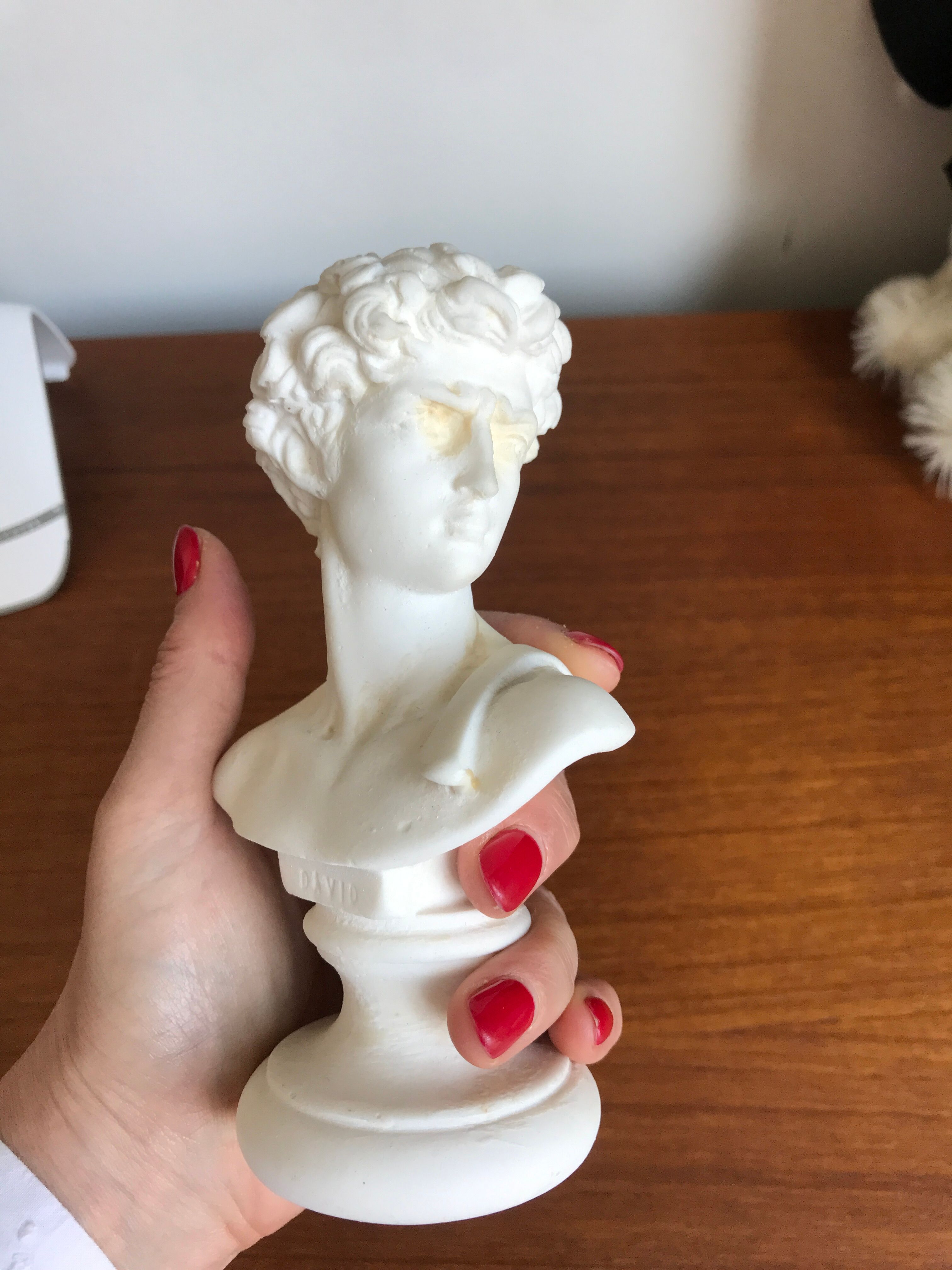 Bust David in stone