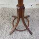 Baumann parrot coat rack
