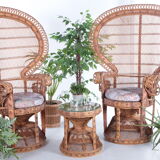 Set of two king sized emmanuelle pauw peacock chairs with side table