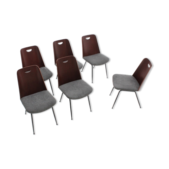 Du22 chairs by Gastone Rinaldi for RIMA 1950s