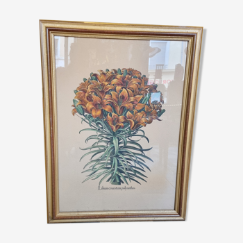 Engraving of flowers frame gilded wood