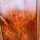 Old wardrobe door