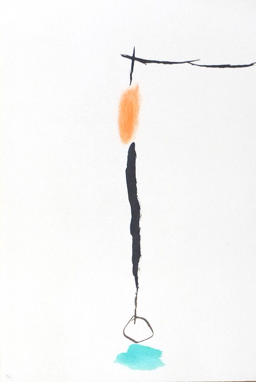 Original signed engraving Riera I Arago Jose Maria, Avión en ángulo con amarillo, 2010