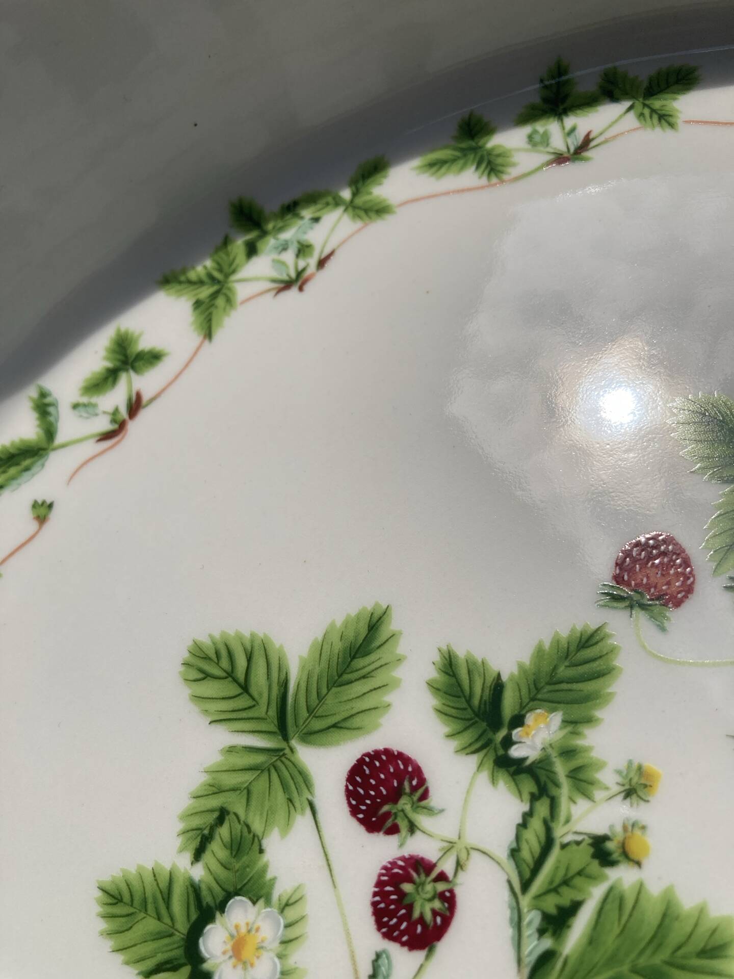 Flan mould Susan Williams-Ellis botanical patterns