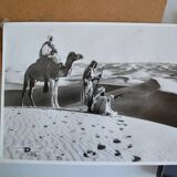 Lehnert & Landrock estate Cairo Silver print from an original negative