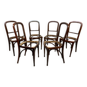 Set of 6 dining chairs no.715 by Gustav Siegel for J&J Kohn