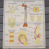 Rossignol educational posters