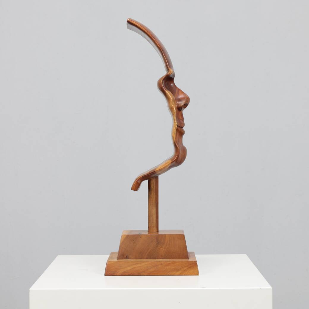 "Profile II" hand-carved 3D sculpture by Lawrence Schneider, 2007