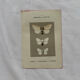 Botanical Plate 1800 Old naturalist engraving 19th century double-sided