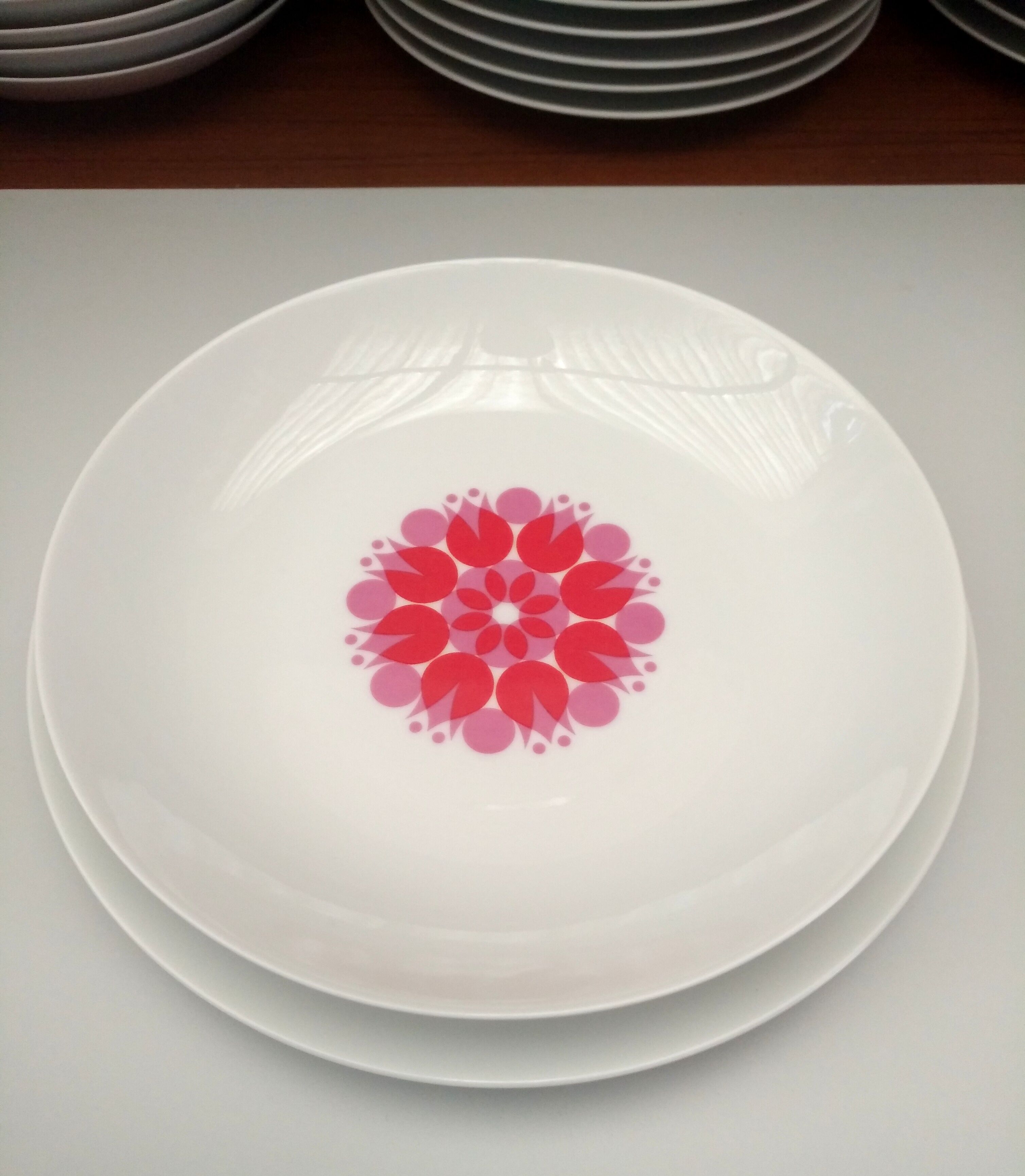 Set of 10 soup plates of the 70 Thomas Germany