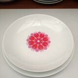 Set of 10 soup plates of the 70 Thomas Germany