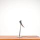 “Ara” desk lamps by Philippe Starck for Flos