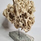 Antique White Coral on Grey Marble Base, 21 cm