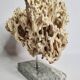 Antique White Coral on Grey Marble Base, 21 cm