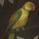 Painted canvas depicting animals on an exotic background. Contemporary.