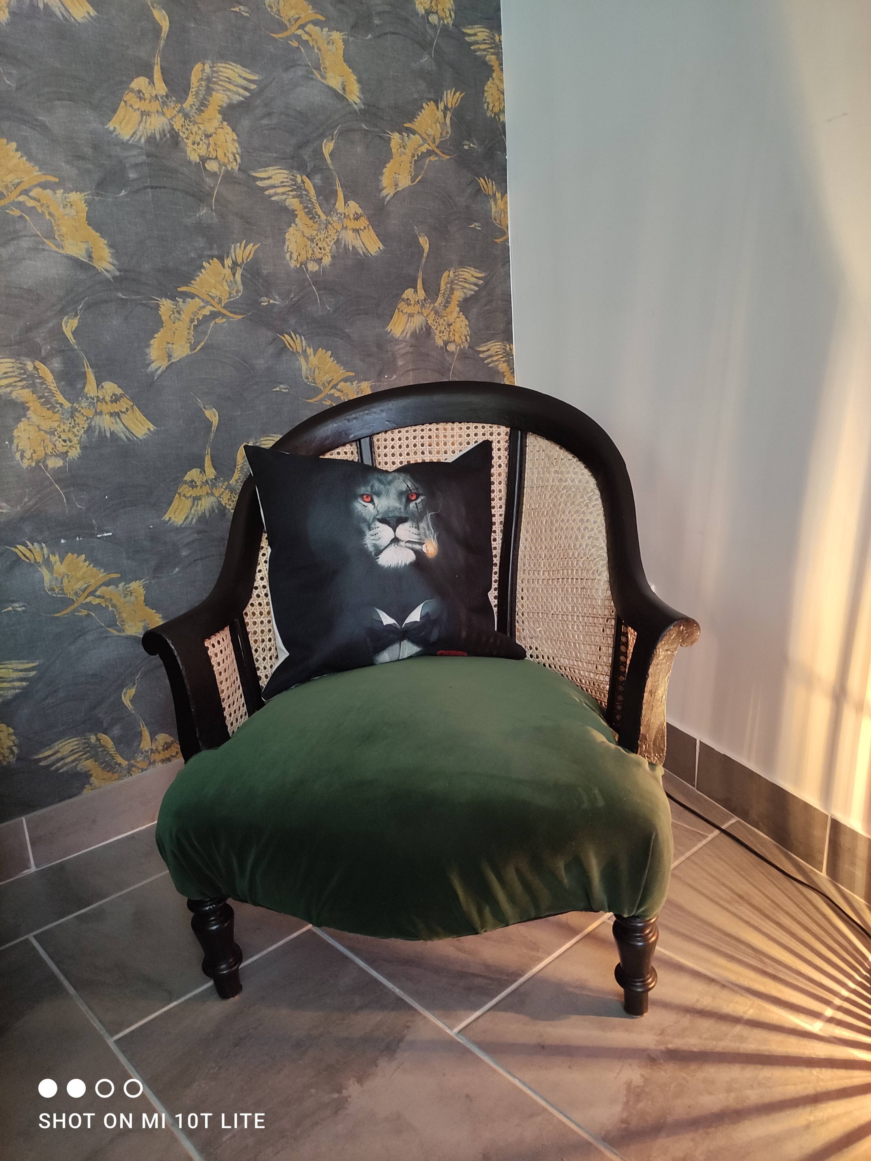Fauteuil crapaud velours et cannage