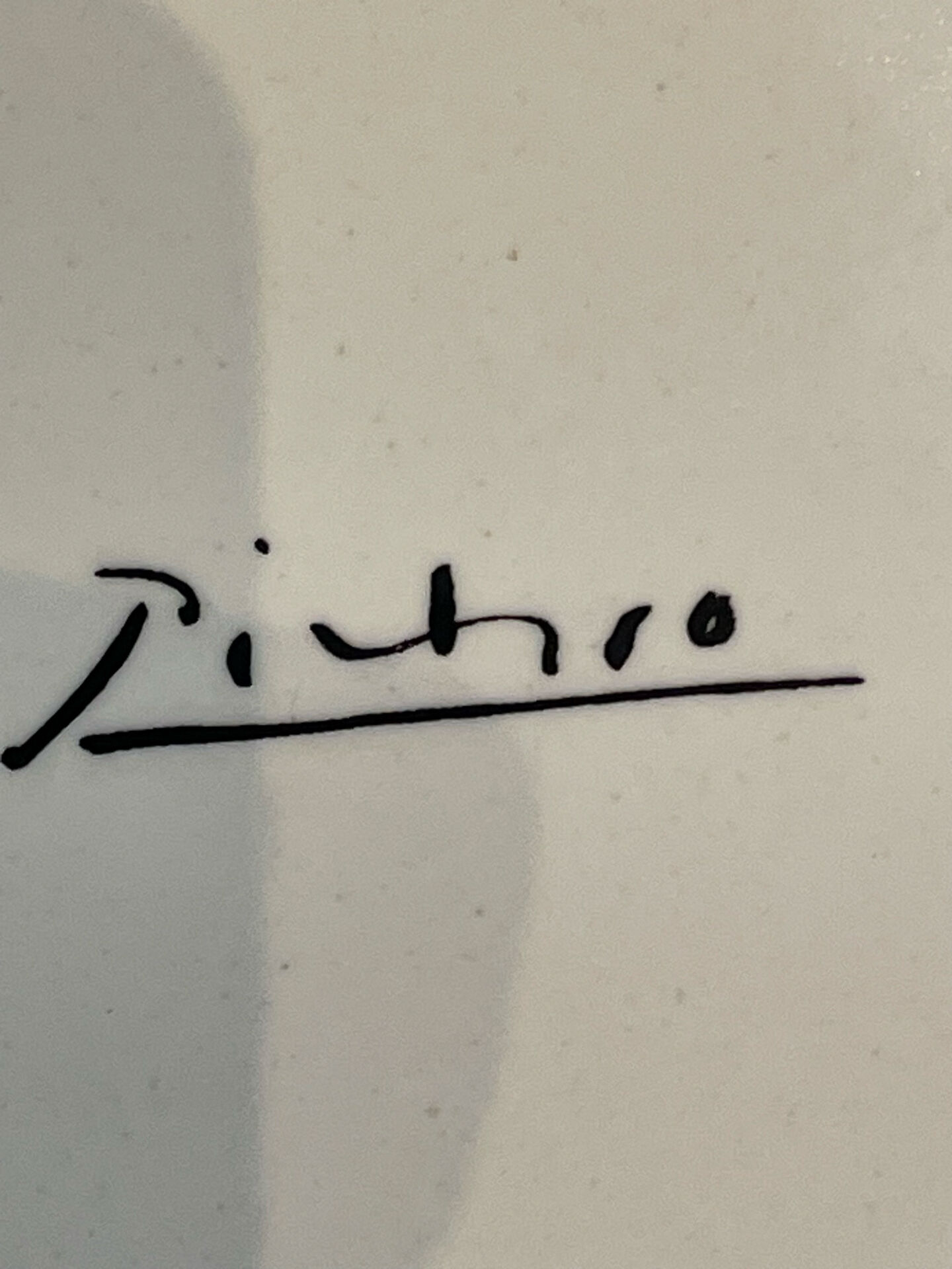 Picasso plates