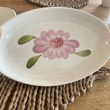 Plates and cup