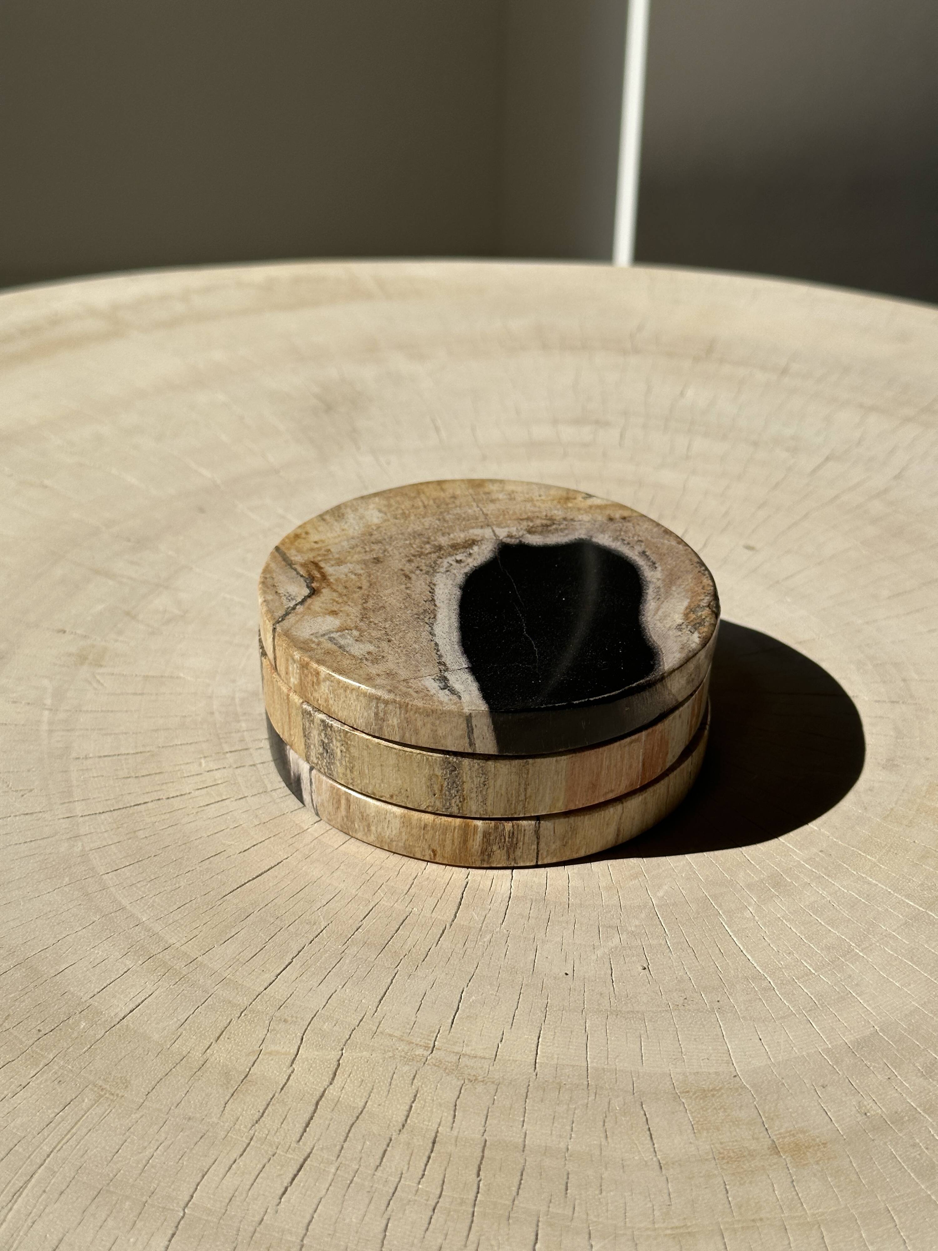 Set of 3 fossilized wood coasters (clear)