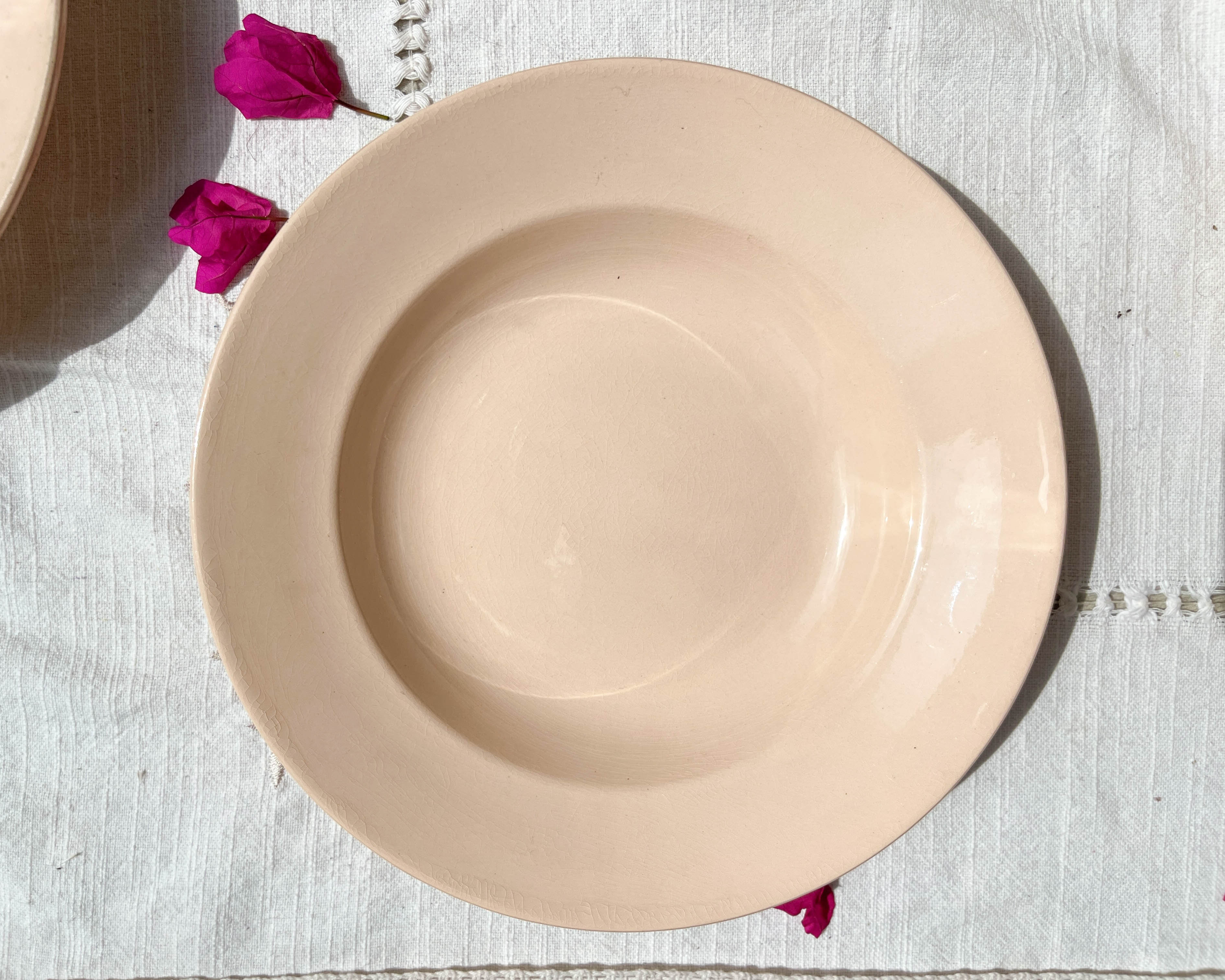 6 assiettes creuses rose digoin sarreguemines