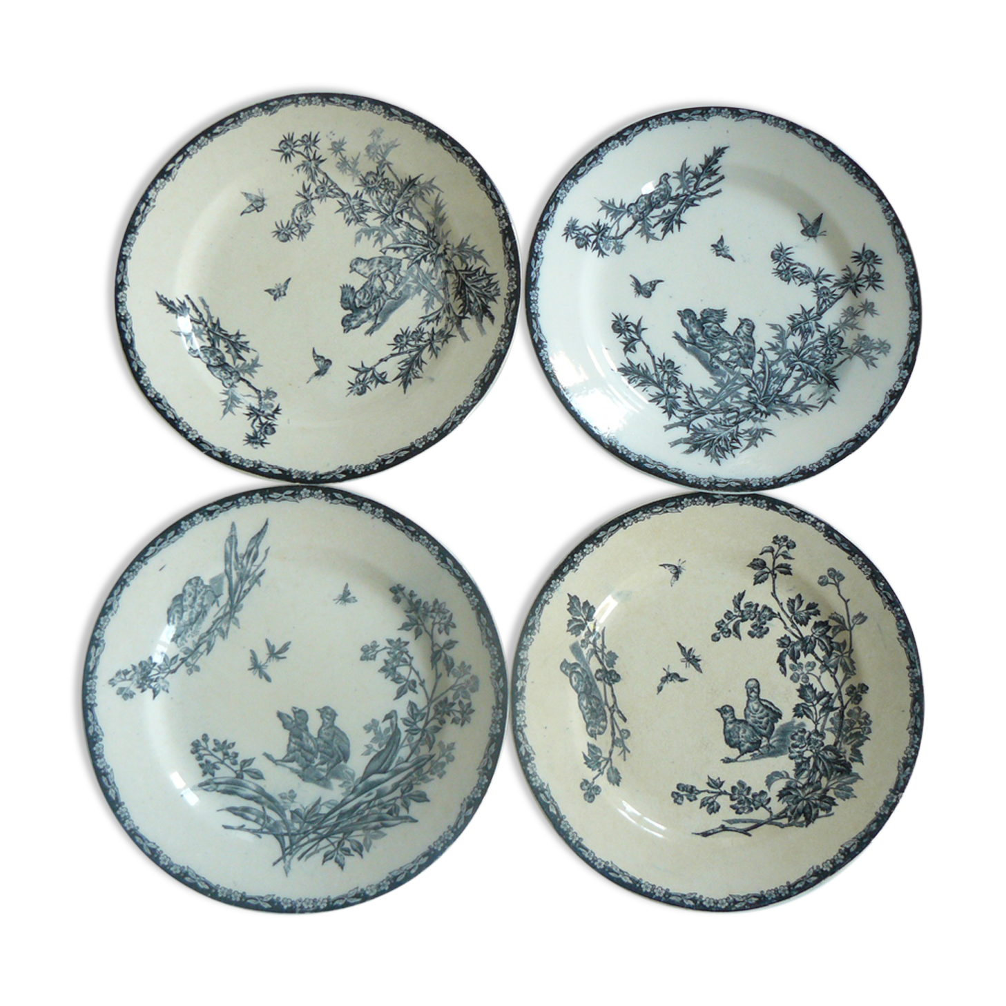 Lot of 4 plates flat land of iron Lunéville model chick