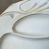 Art Nouveau majolica asparagus plates