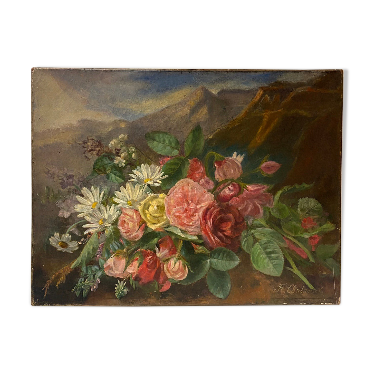 Old painting, still life with daisy roses and wild flowers, signed, early XX century