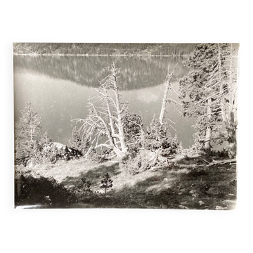 Silver gelatin print by Bernard Darot, 20th century. Dead tree in front of a lake, No. 2.