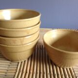 Set of 5 bowls in stoneware Digoin