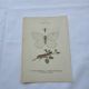 Old botanical lithograph naturalist double-sided