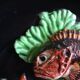 Assiette decor poissons vallauris annees 60
