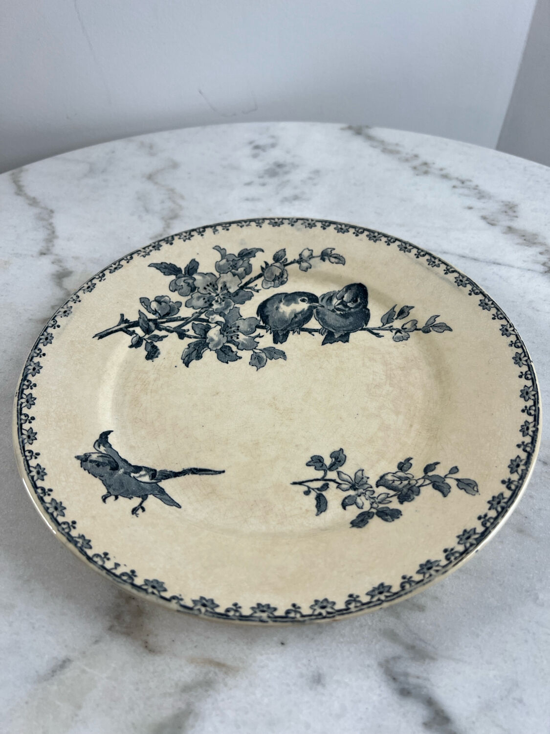 Iron earth plate Sarreguemines favourite