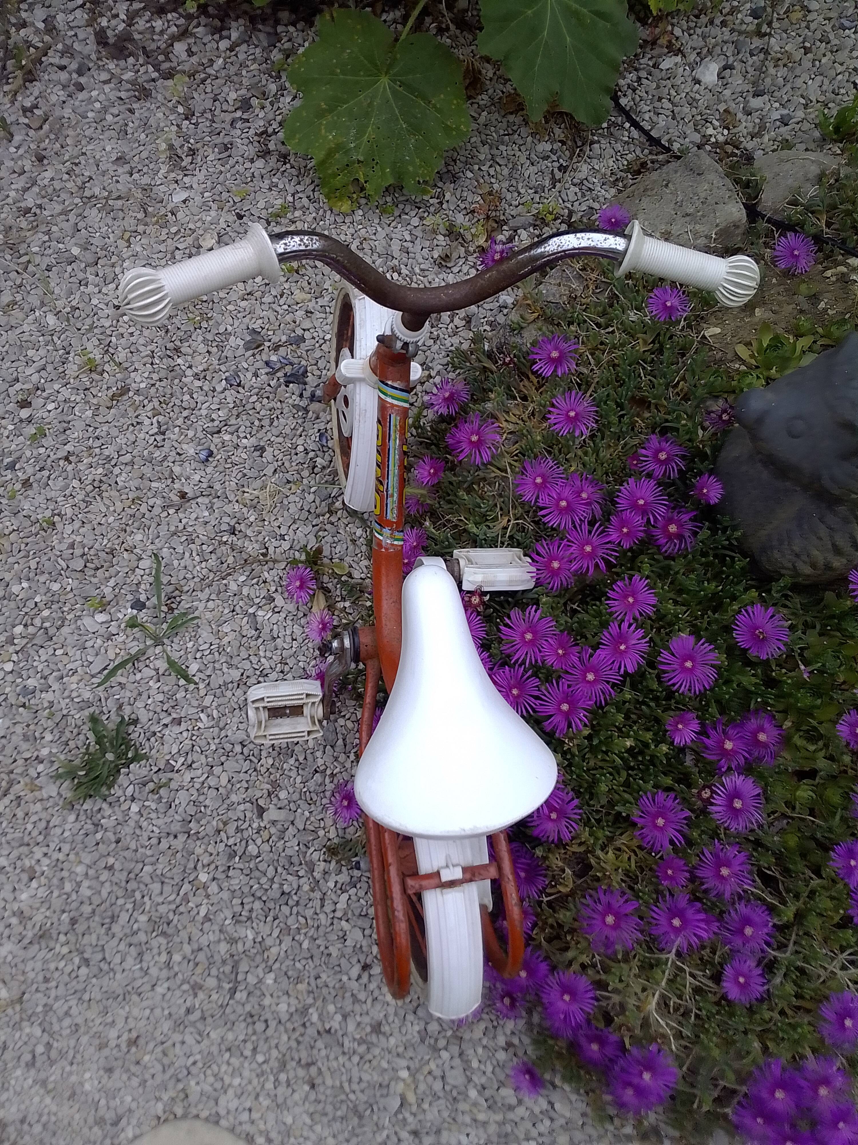 Vintage children's bike brand Dino