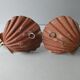 Pair of golden metal shell sconces