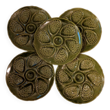 Set of 5 bottle green oyster slushie plates